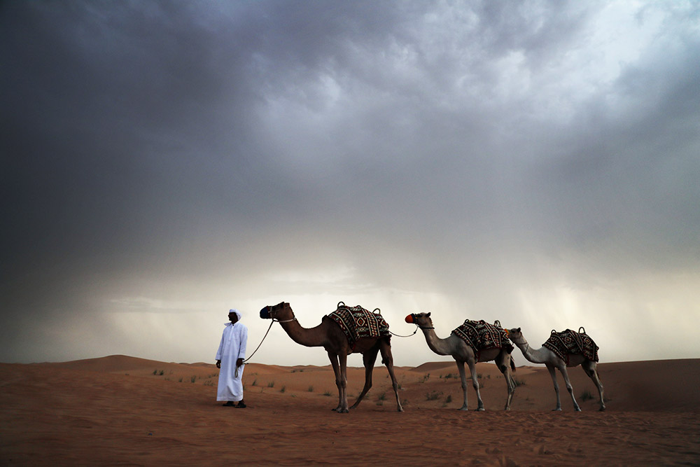 ドバイ砂漠 ドバイ砂漠
