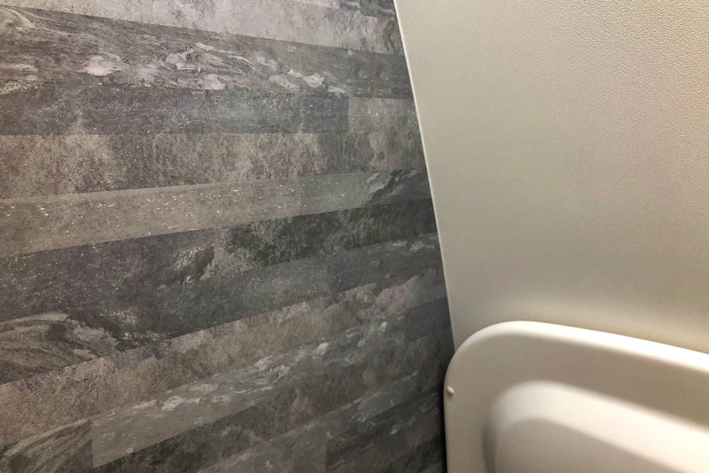 ANA ビジネスクラストイレ