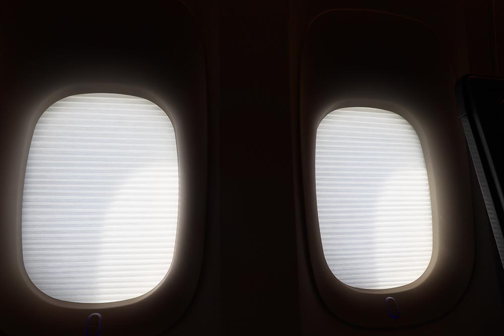 ANA 障子　木漏れ