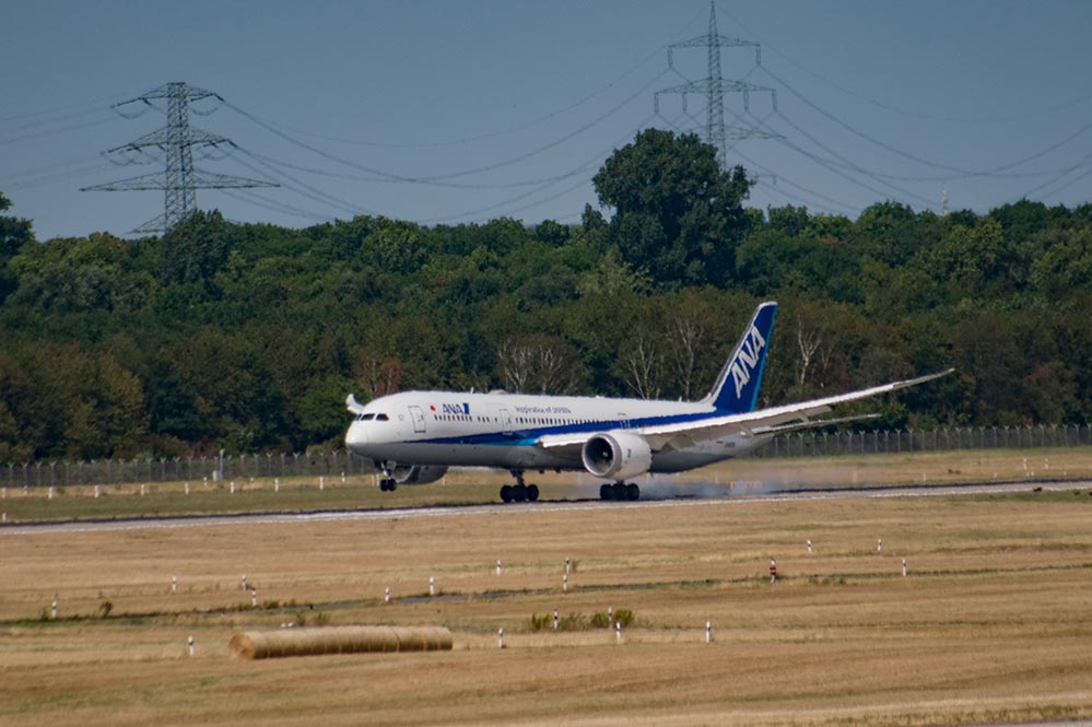 ANA 787