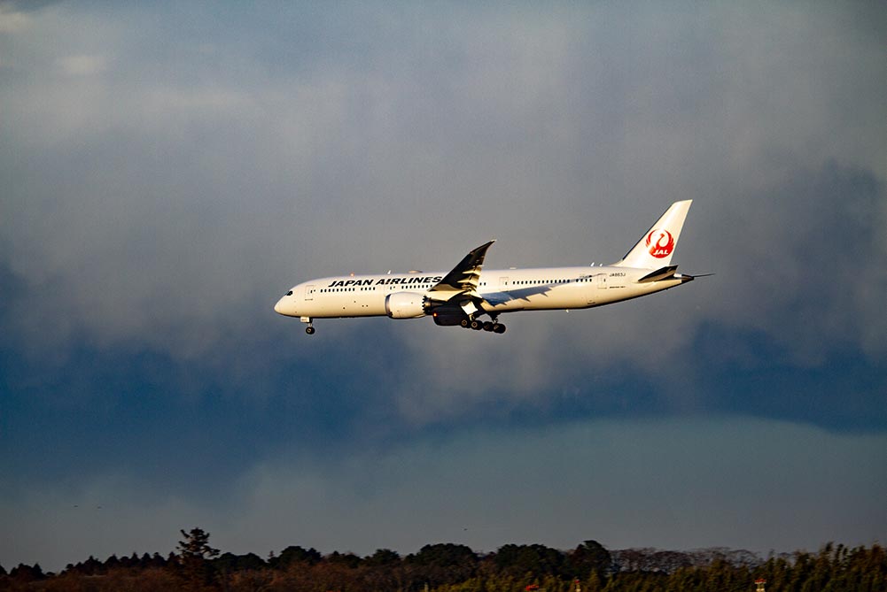 JAL 787