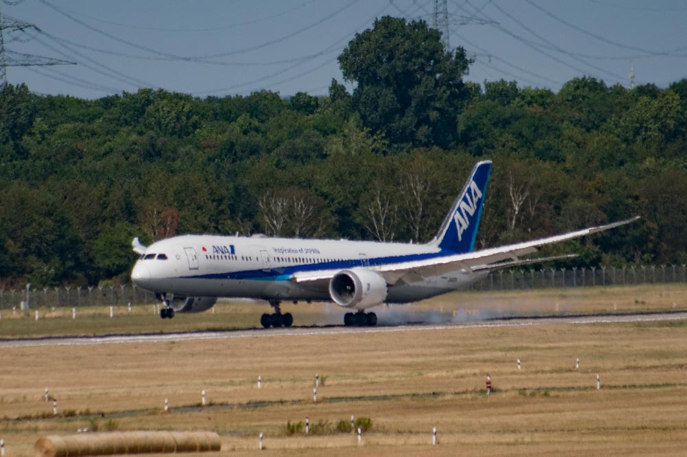 ANA 787