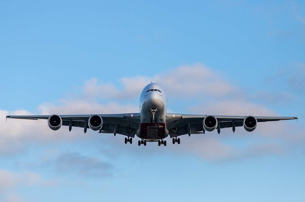 飛行機