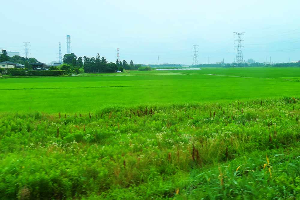 f:id:dantra:20200711234246j:plain f:id:dantra:20200711234246j:plain