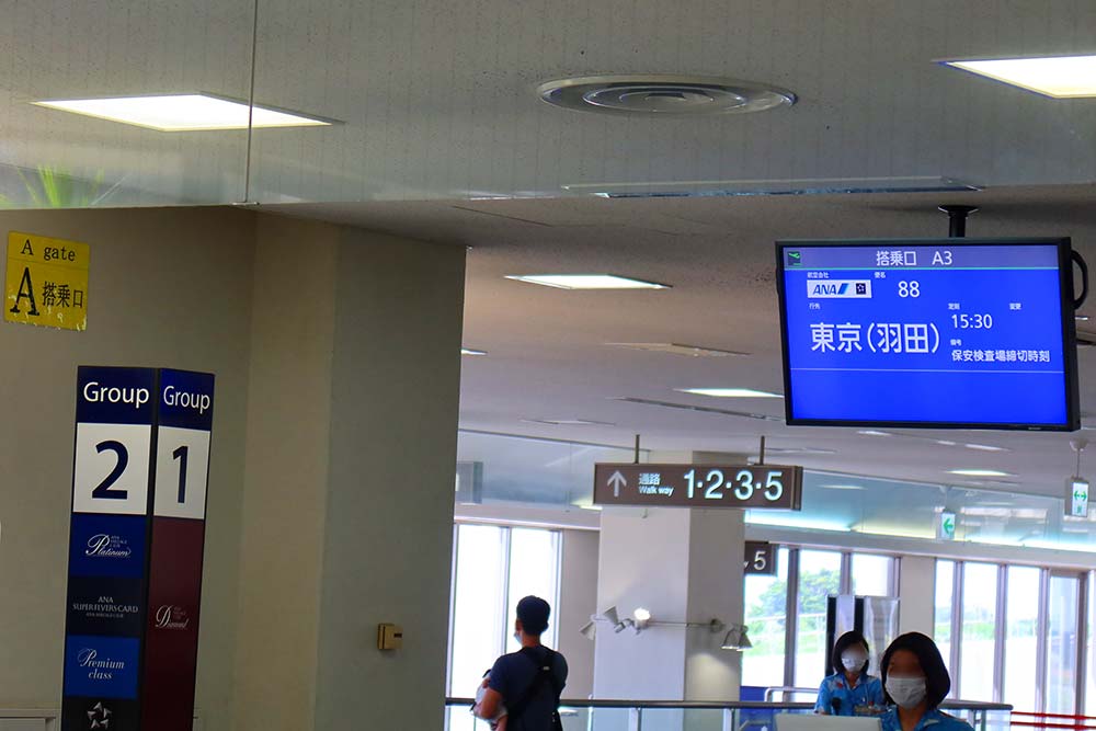 ANA 88便