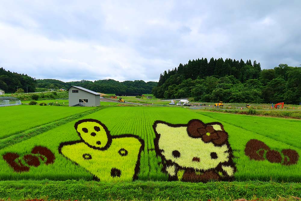 田んぼアート