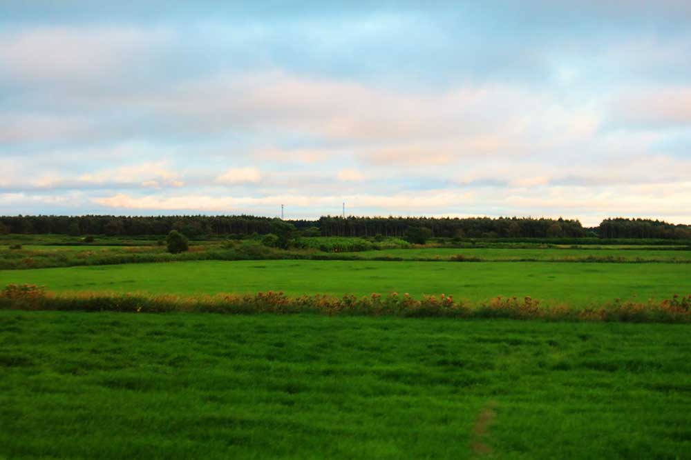 宗谷本線車窓