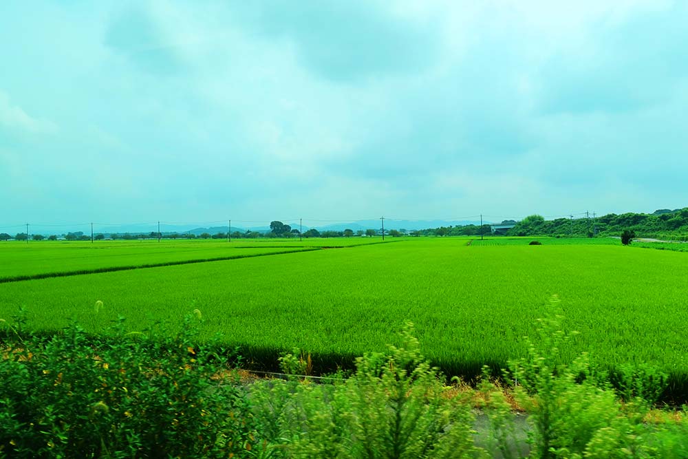f:id:dantra:20200904120519j:plain f:id:dantra:20200904120519j:plain