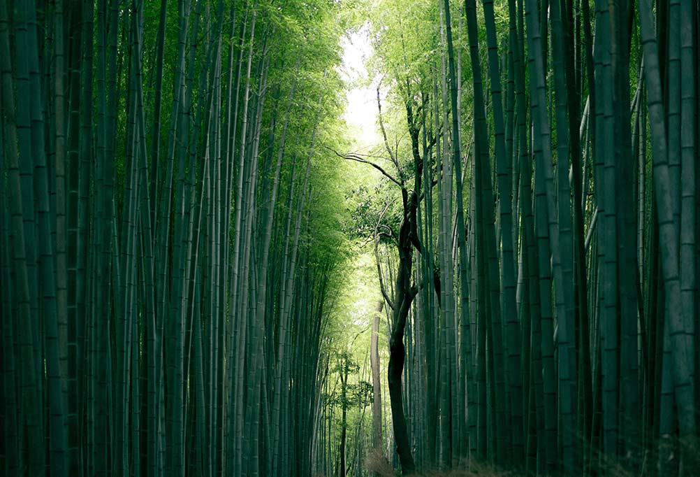 京都
