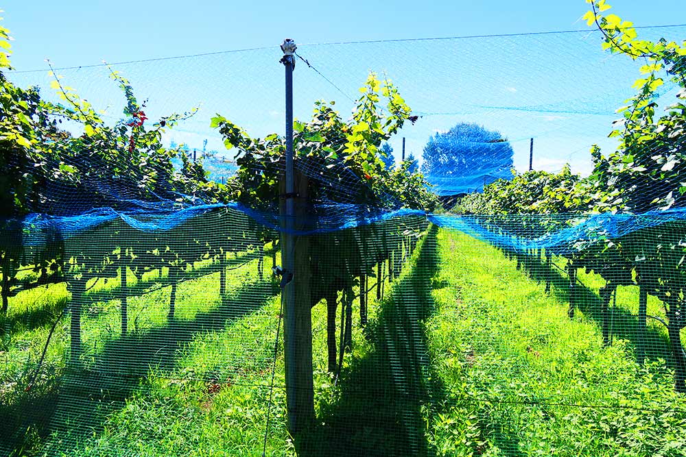 f:id:dantra:20200918001001j:plain f:id:dantra:20200918001001j:plain