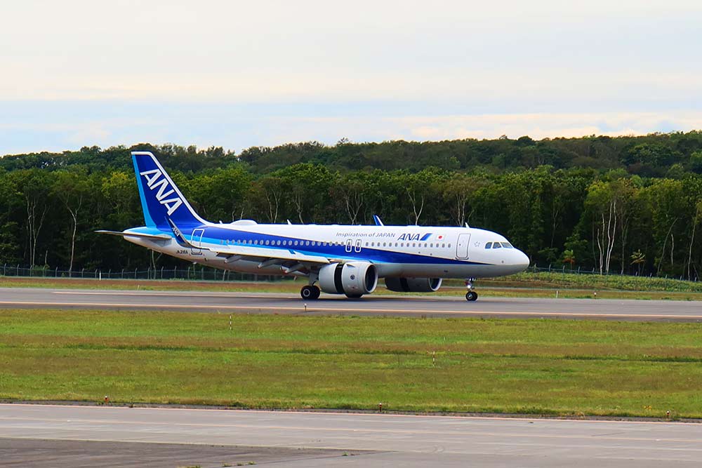 f:id:dantra:20201006230427j:plain f:id:dantra:20201006230427j:plain