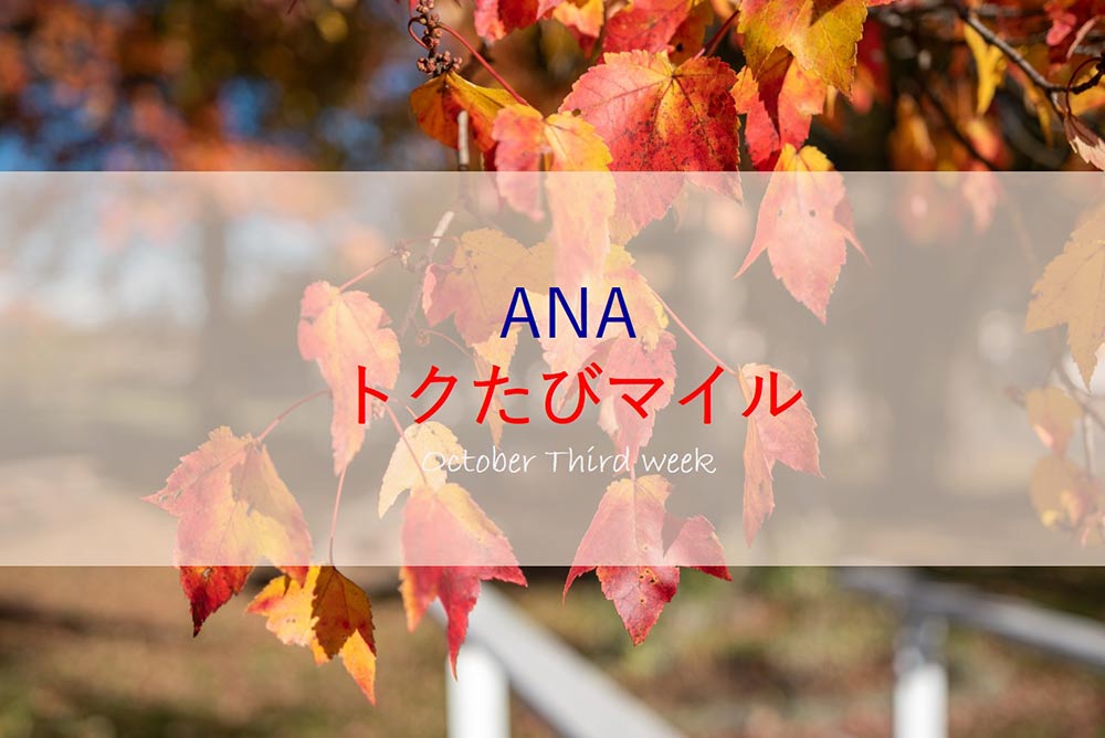 f:id:dantra:20201013142905j:plain f:id:dantra:20201013142905j:plain