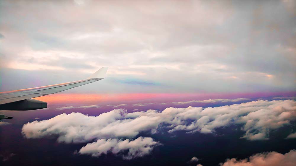 f:id:dantra:20201205223058j:plain