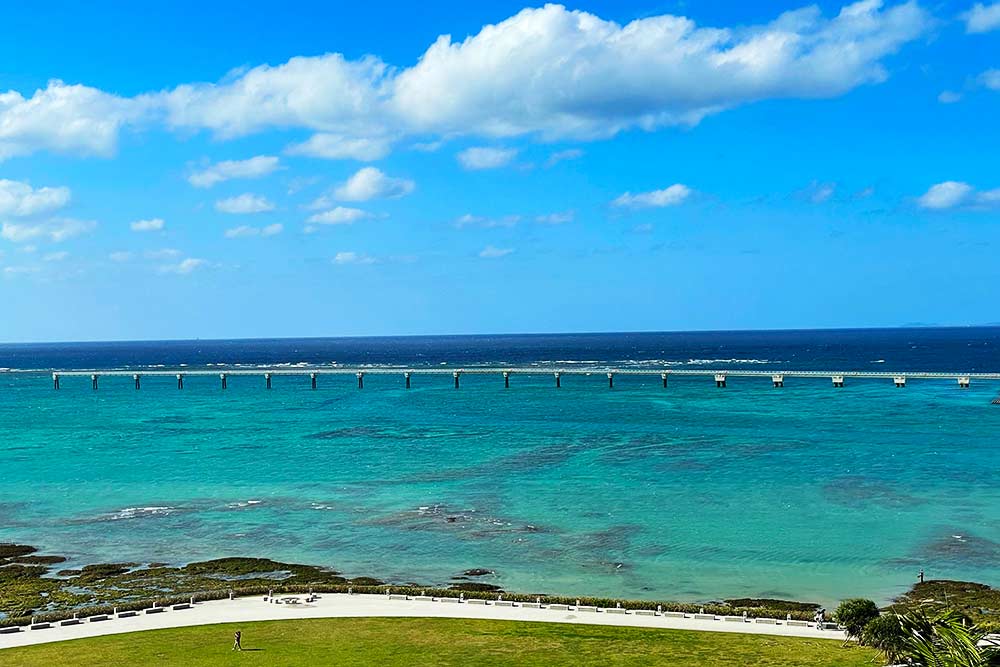 f:id:dantra:20201219082919j:plain