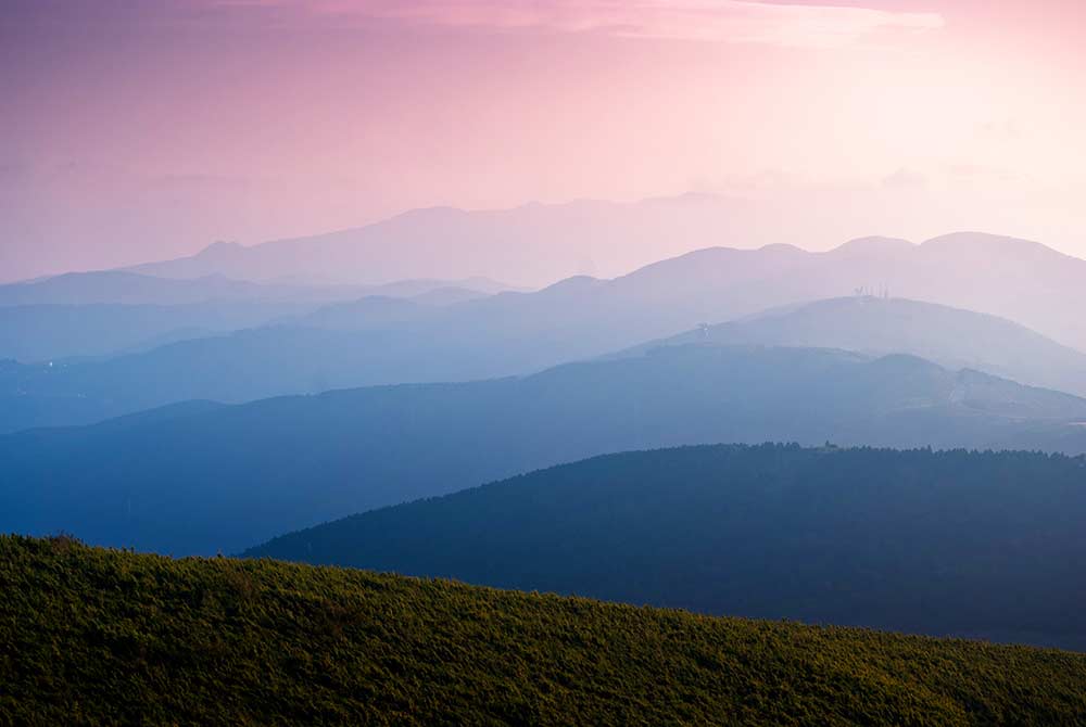 f:id:dantra:20210104000152j:plain