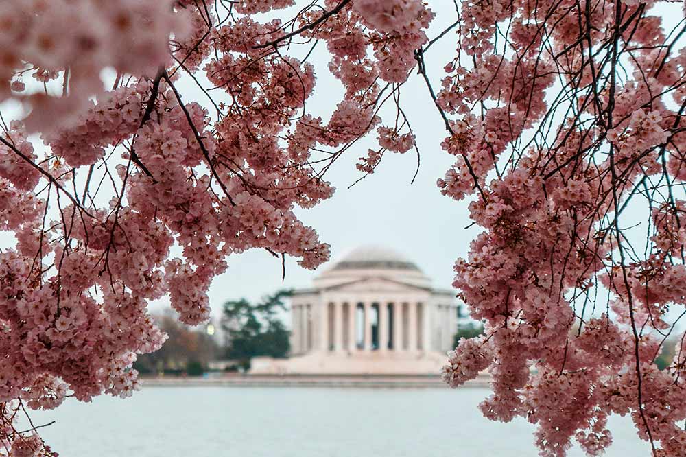 f:id:dantra:20210131212836j:plain