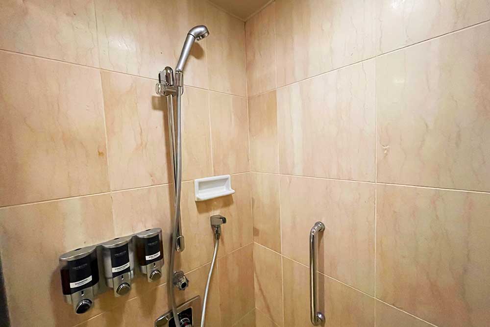 f:id:dantra:20210327211214j:plain