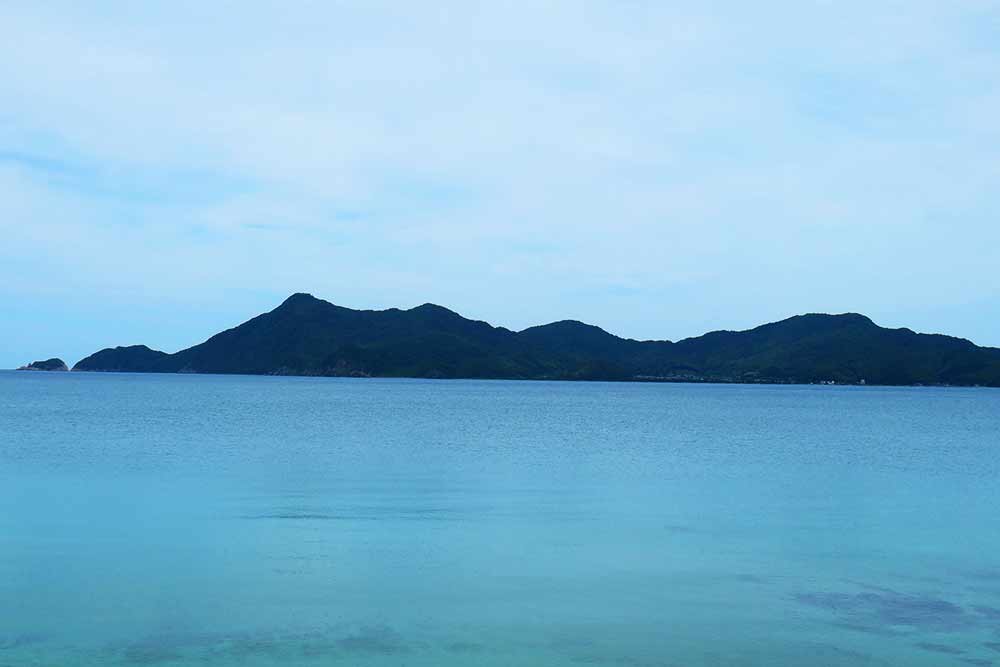 f:id:dantra:20210621184352j:plain