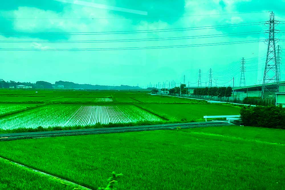 f:id:dantra:20210630222330j:plain