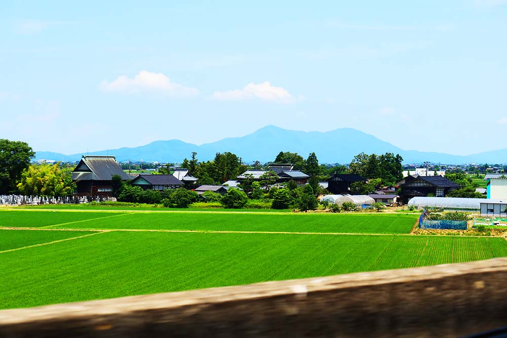 f:id:dantra:20210708225103j:plain