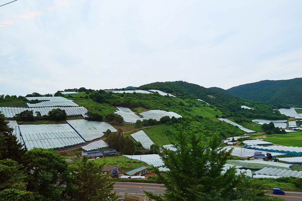 f:id:dantra:20210712234819j:plain