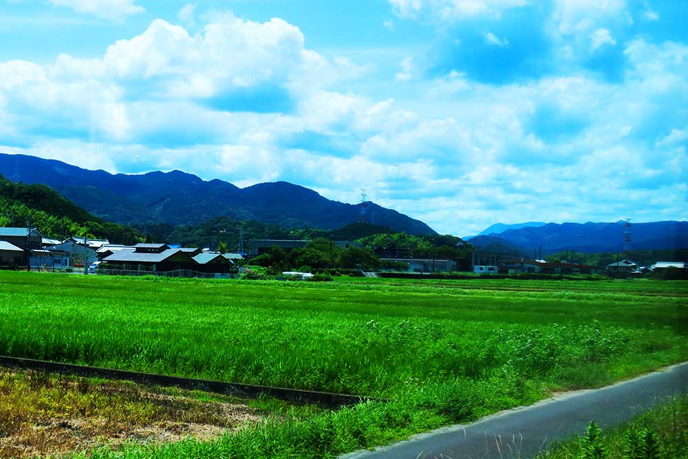 f:id:dantra:20210727214601j:plain