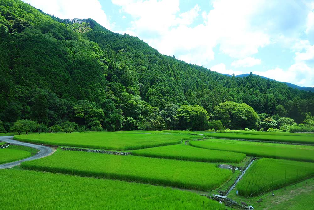 f:id:dantra:20210727214712j:plain