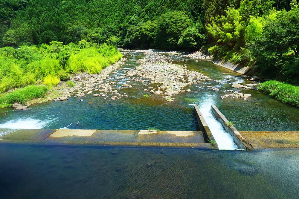 f:id:dantra:20210727214725j:plain