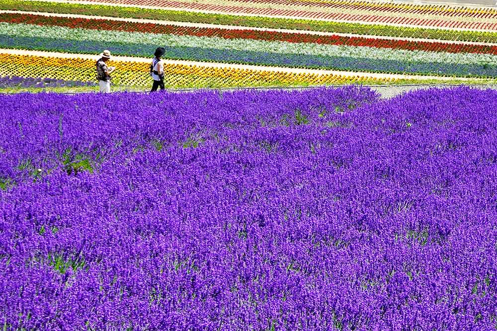 f:id:dantra:20210822010409j:plain