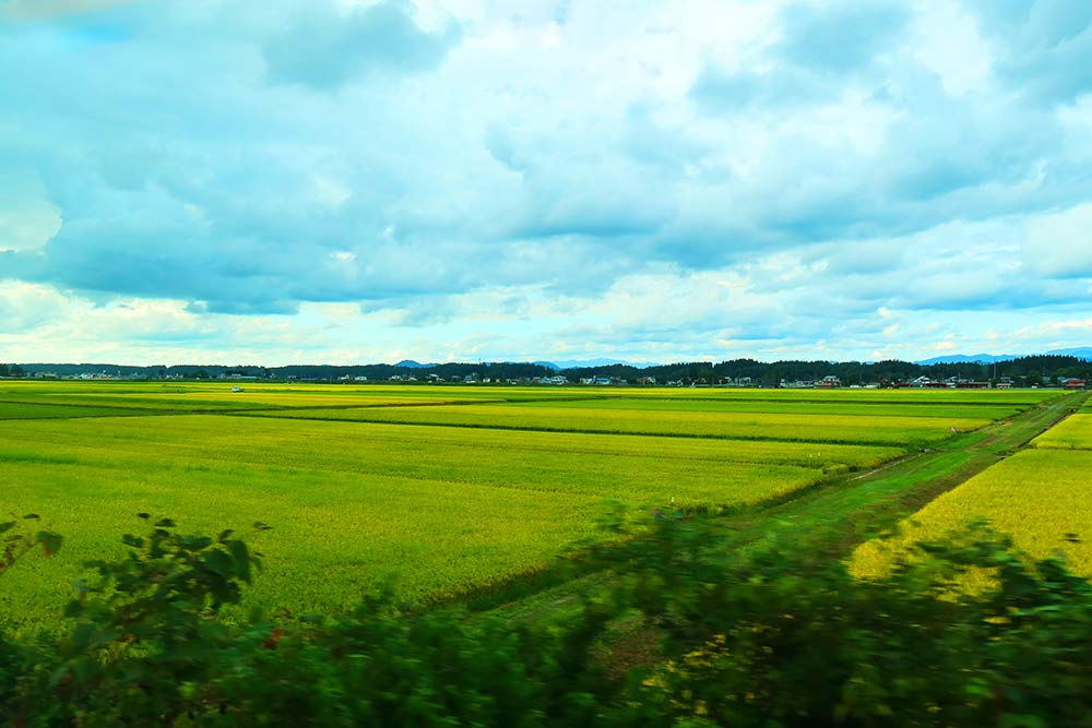 f:id:dantra:20210918123938j:plain