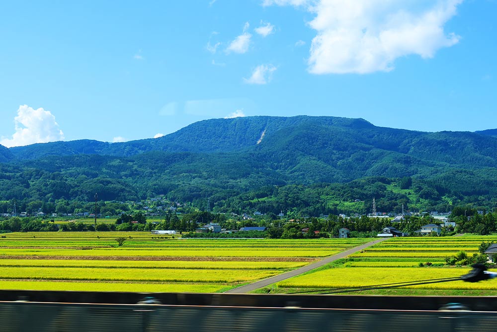 f:id:dantra:20210922013914j:plain