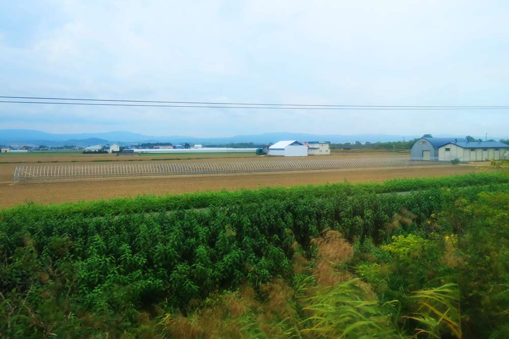 f:id:dantra:20211013070029j:plain