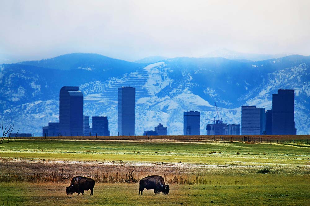 f:id:dantra:20211101003013j:plain