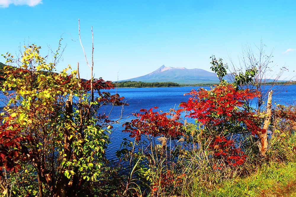 f:id:dantra:20211103002142j:plain