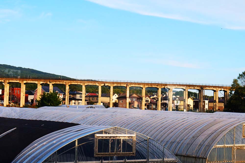 f:id:dantra:20211103011013j:plain