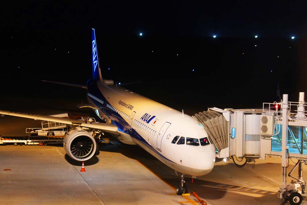 f:id:dantra:20211104225855j:plain