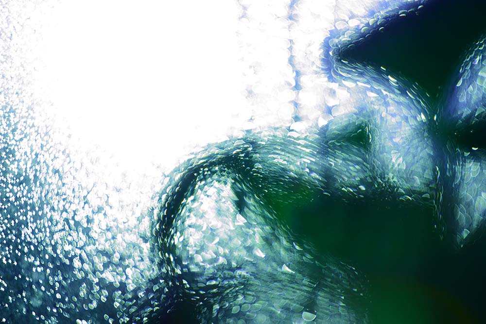 f:id:dantra:20211116231754j:plain