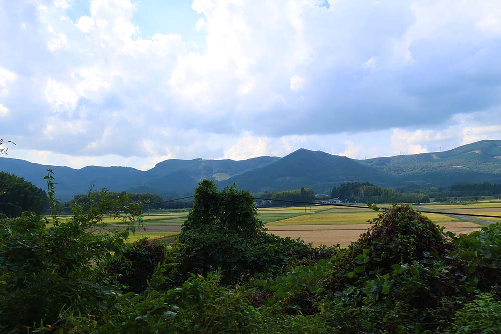 f:id:dantra:20211120182356j:plain