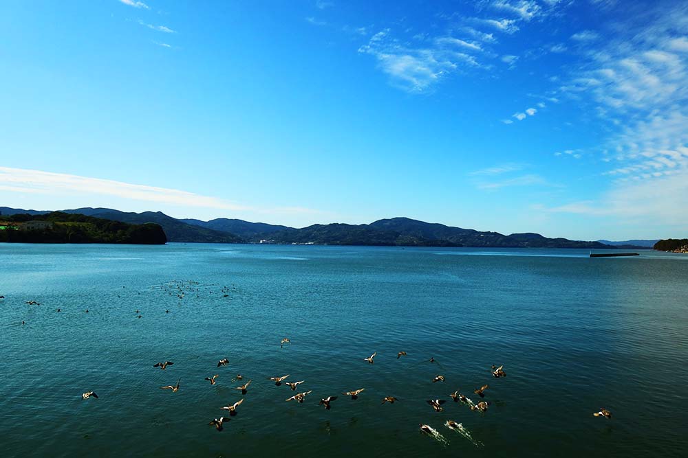 f:id:dantra:20211130232208j:plain