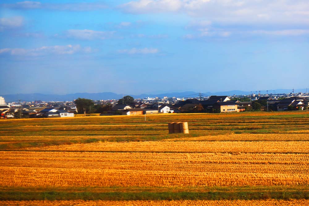 f:id:dantra:20211130232438j:plain