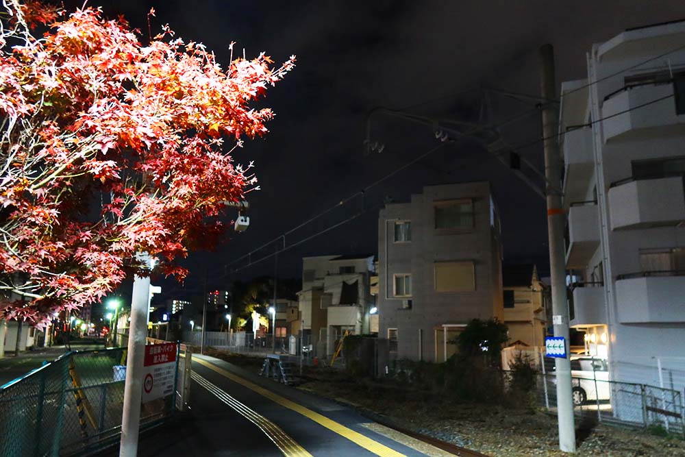 f:id:dantra:20211221114227j:plain