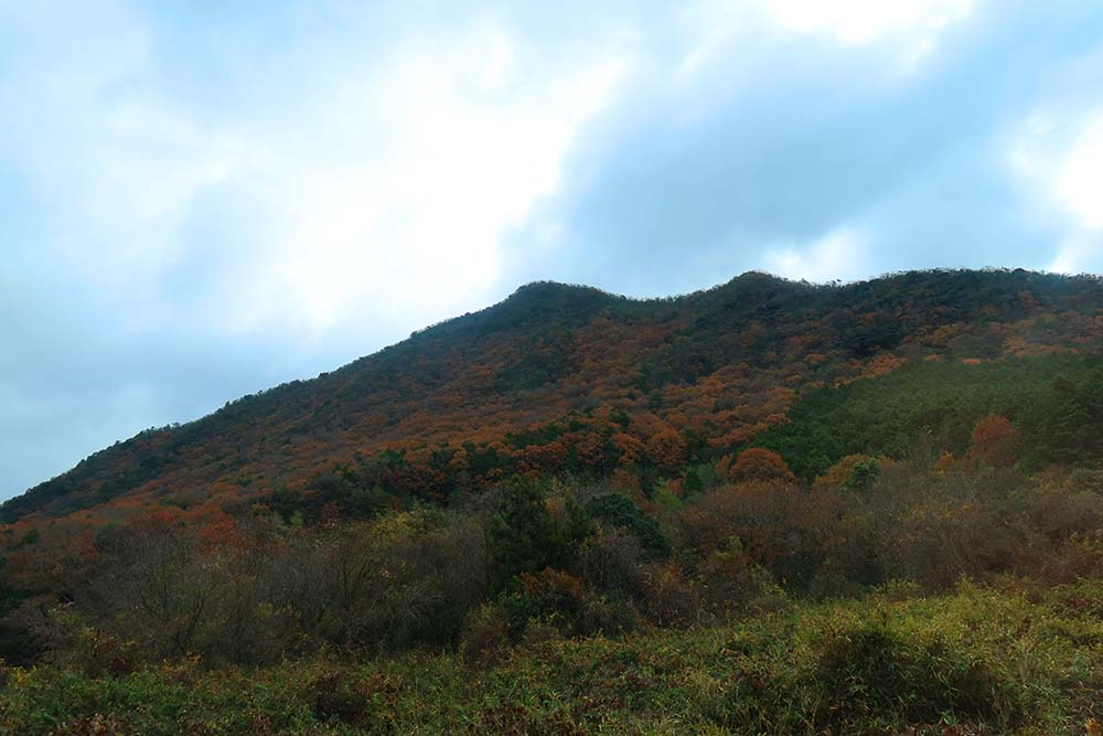 f:id:dantra:20211224003522j:plain