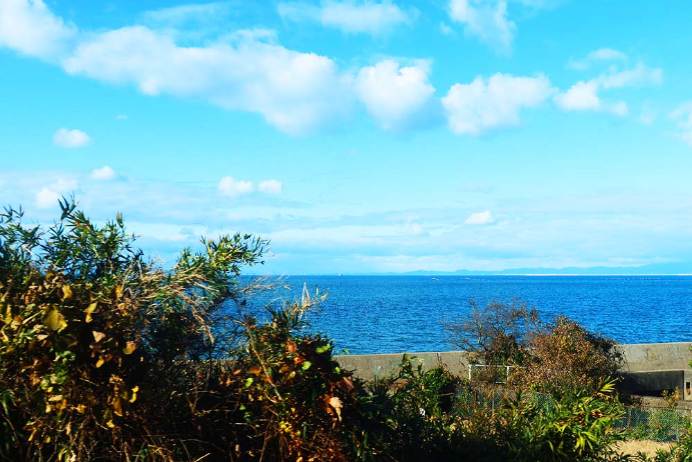 f:id:dantra:20211224004017j:plain