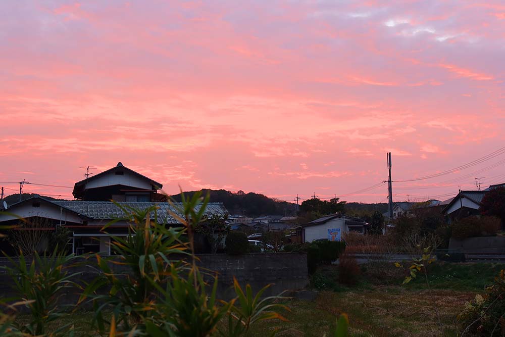 f:id:dantra:20211229220624j:plain