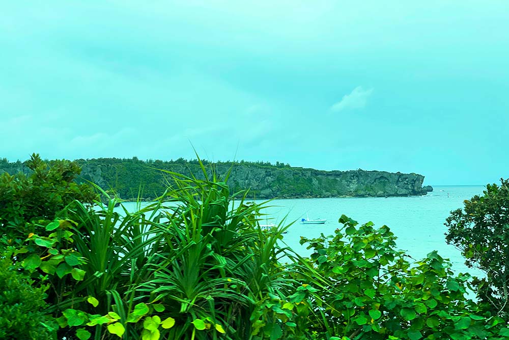 f:id:dantra:20220125123226j:plain