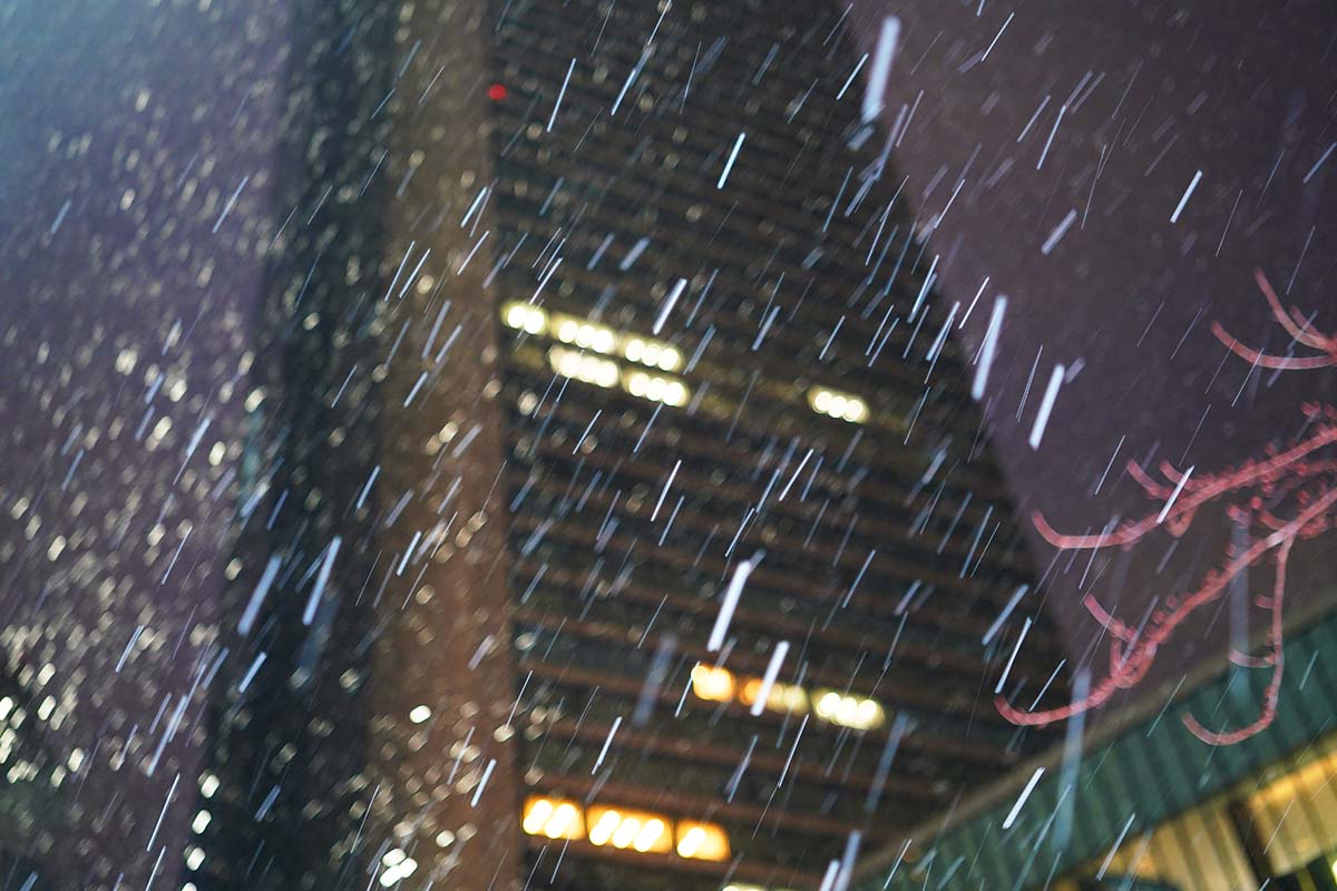 f:id:dantra:20220209151636j:plain