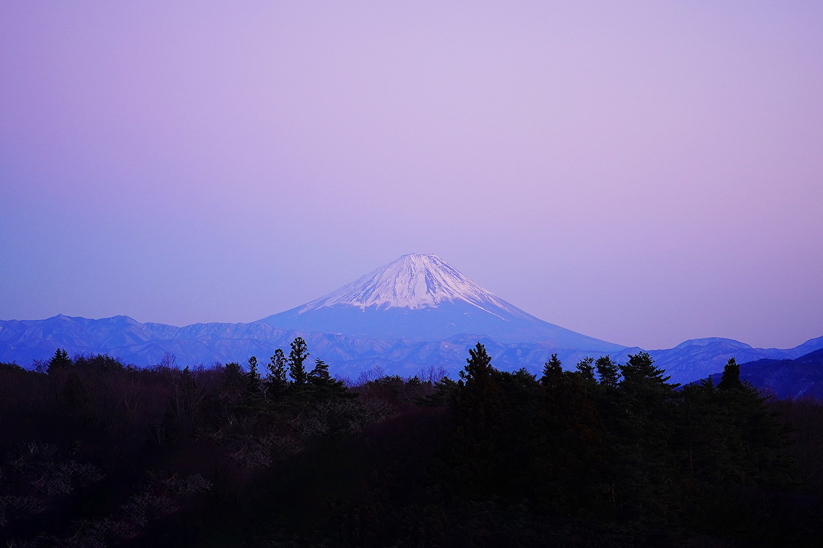 f:id:dantra:20220310113640j:plain