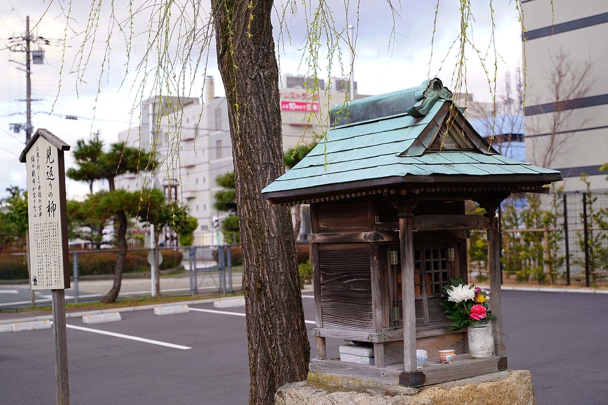 宮津　見返りの柳