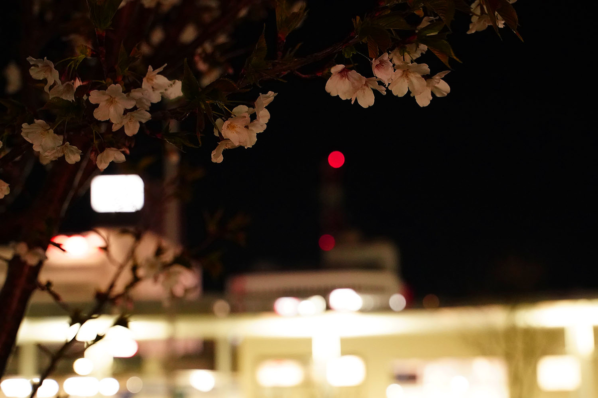 沼津駅の葉桜