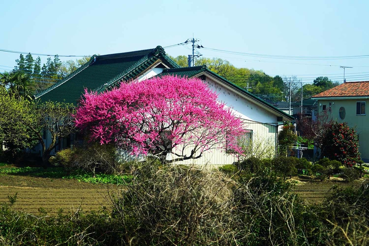 東北線沿線